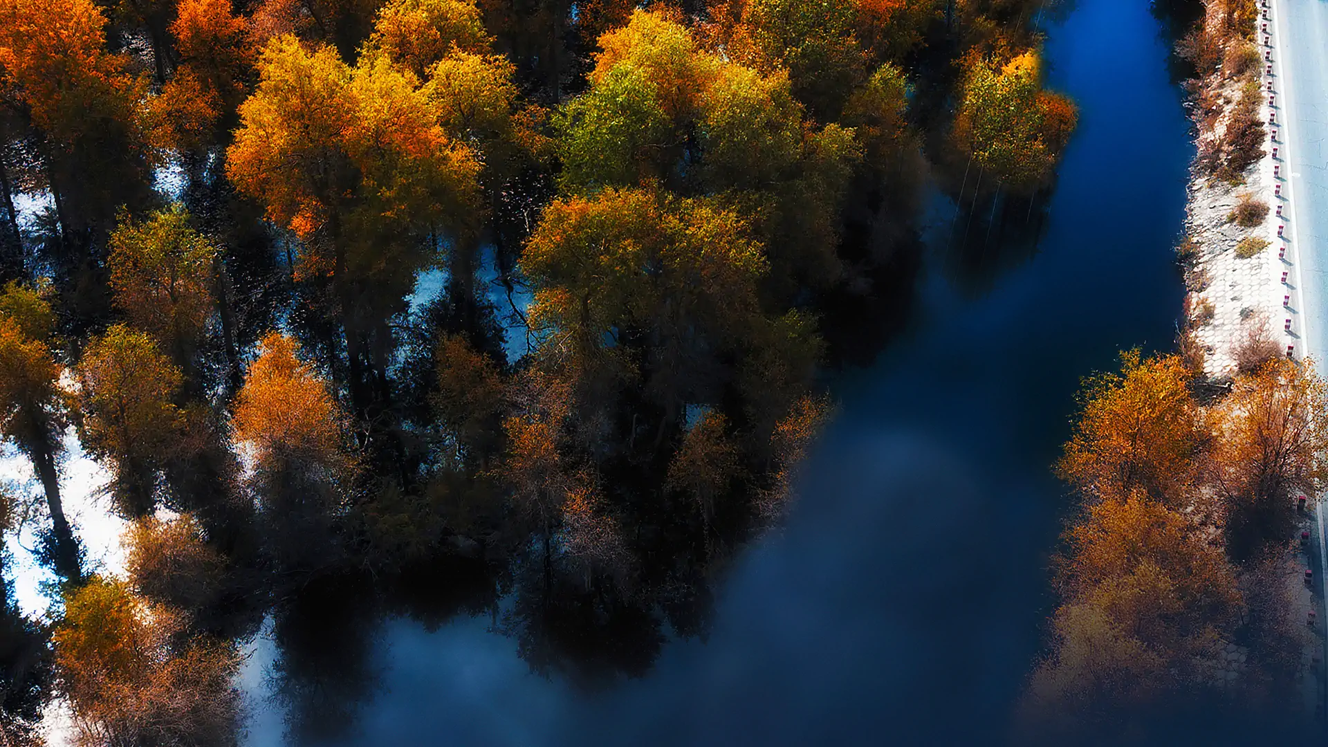 强大的Windows软件管理神器WingetUI